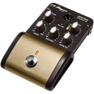 L.R. Baggs Session DI Acoustic Guitar Preamp and DI