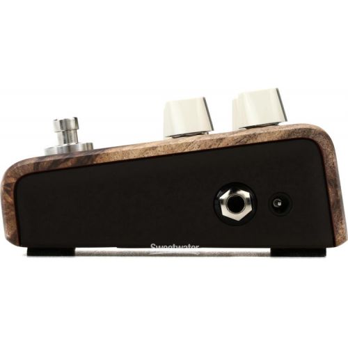  LR Baggs Align Chorus Acoustic Chorus Pedal