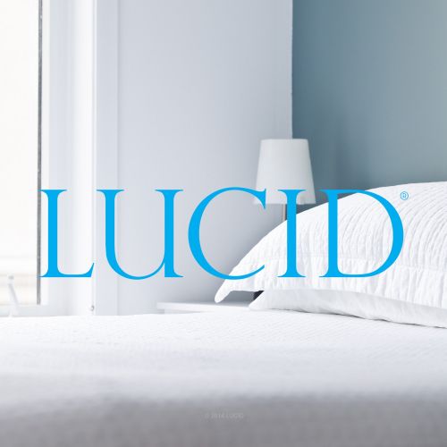  LUCID Foldable Metal Platform Bed Frame and Mattress Foundation -Strong and Sturdy Support - Quiet Noise Free - Twin Size