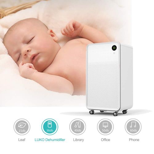  LUKO 24 Pints Quiet dehumidifier, Electric and Portable, 2L Water Tank with Drain Hose, Washable Filter and air Purification Function for Home, Bedroom, Basement, Bathroom, Garage,