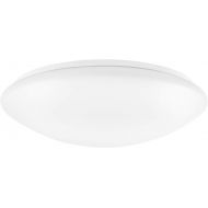 LUXRITE Luxrite 15 Inch LED Flush Mount Ceiling Light, 22W, 1600 Lumens, 3000K Soft White Dimmable, Modern Ceiling Light Fixture, Energy Star & UL Listed, Damp Location Rated