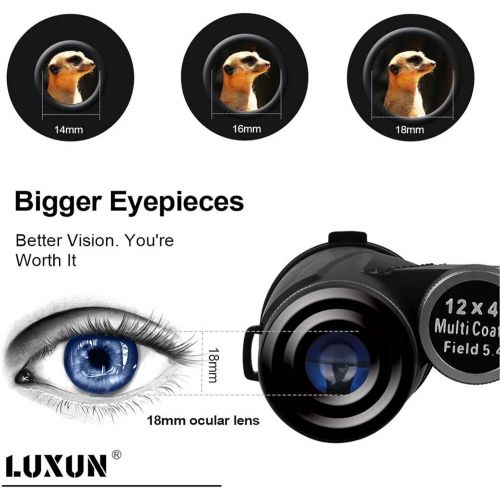  [아마존베스트]LUXUN 12x42 Compact Binoculars for Adults, Low Light Night Vision IPX3 Waterproof Binoculars for Bird Watching Hunting Outdoor Sports