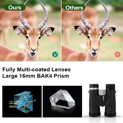  [아마존베스트]LUXUN 12x42 Compact Binoculars for Adults, Low Light Night Vision IPX3 Waterproof Binoculars for Bird Watching Hunting Outdoor Sports