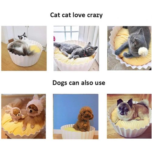  LYLa Egg Tart Cat Litter Four Seasons Universal Cat Litter Summer Pet Washable Kennel Pet Products