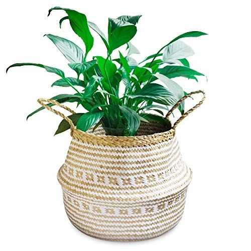  La Maia Natural Seagrass Belly Plant Basket with Handles, Woven Planter Basket for Storage, Laundry, Picnic, and Beach Bag (Natural Seagrass, M)