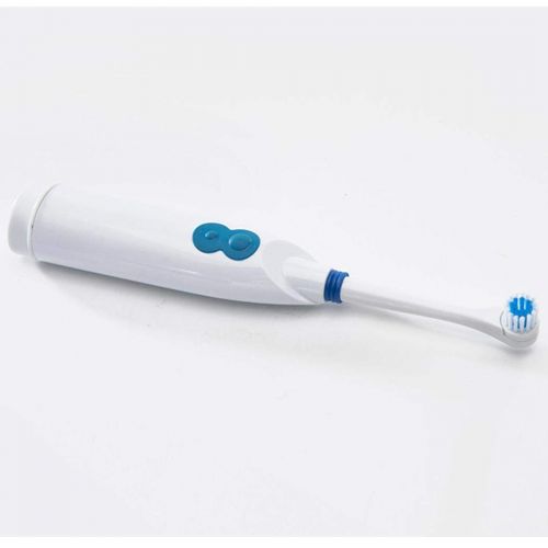  Ladiy Adult Children Waterproof Battery Electric Toothbrush Oral Dental Care Electric Toothbrushes