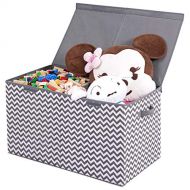 [아마존베스트]LadyRosian Toy Chest - 2 Bin Collapsible Storage Organizer with Flip-Top Lid for Kids Playroom, Box Stores Stuffed Animals, Home Organization for Nursery, Playroom, Closet，Large (G