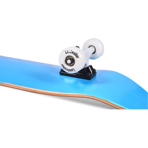  Landwalker Pro Cruiser Complete Girl Skateboard 31x8 Inch Skateboards cheap skateboard
