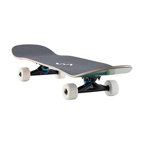  Landyachtz ATV X Perfecto Raccoon Complete Longboard