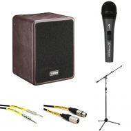 Laney A-Fresco-2 60-watt 1 x 8-inch Acoustic Combo Amp Performance Bundle