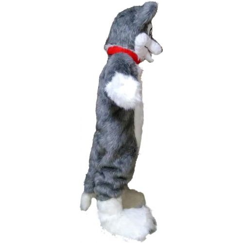  Grey Wolf Mascot Costume Cartoom Character Adult Sz Real Picture Langteng(TM)