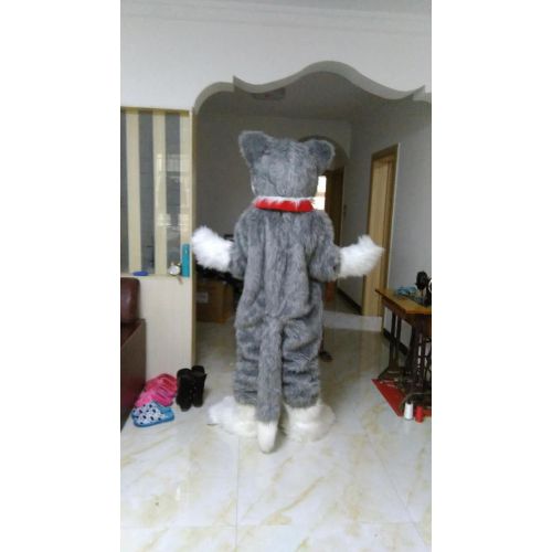  Grey Wolf Mascot Costume Cartoom Character Adult Sz Real Picture Langteng(TM)