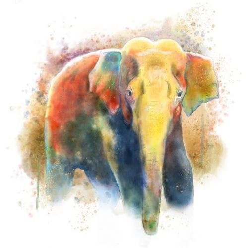  Lantern Press Asian Elephant - Watercolor (100% Cotton Kitchen Towel)