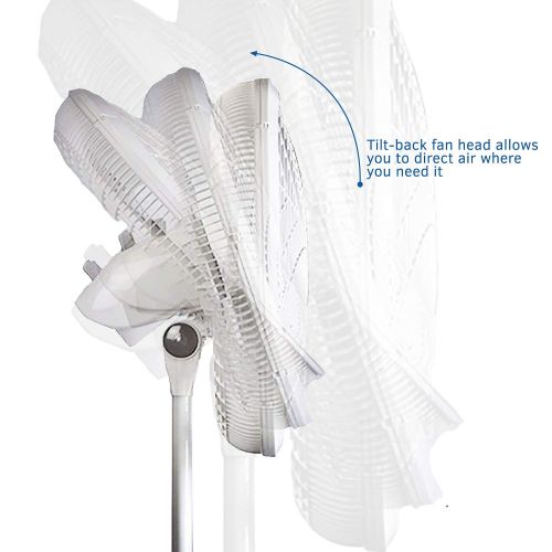  Lasko 1820 18″ Elegance & Performance Adjustable Pedestal Fan, White - Features Oscillating Movement Tilt-back Fan Head