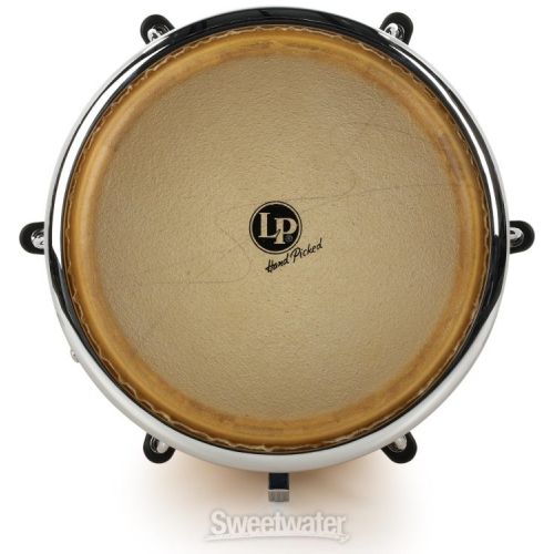  Latin Percussion Santana Conga - 11.75-inch Africa Speaks