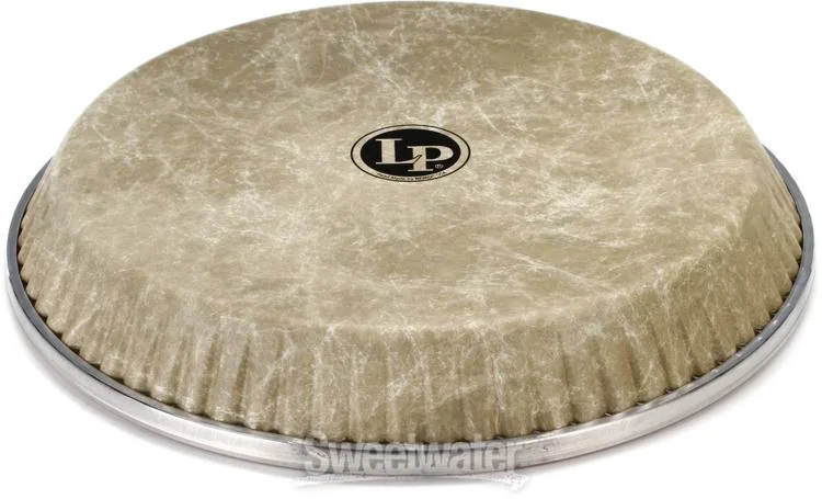  Latin Percussion Fiberskyn Conga Head - 11 inch - Quinto