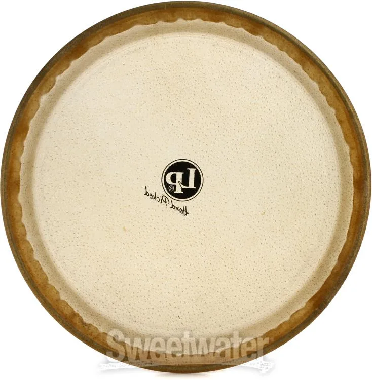  Latin Percussion Rawhide Conga Head - 11 inch - Quinto Demo