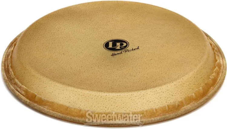  Latin Percussion Rawhide Conga Head - 11 inch - Quinto Demo