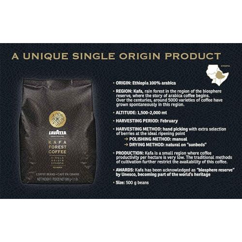  Lavazza Kafa Forest Coffee Whole Beans, Single Origin Ethiopia, 100% Arabica 1.1 Pound Bag (Pack of 1)