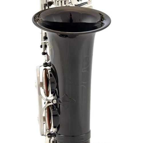  370-BK - Black/Silver Keys Eb E Flat Alto Saxophone Sax Lazarro+11 Reeds,Music Pocketbook,Case,Care Kit - 24 Colors with Silver or Gold Keys