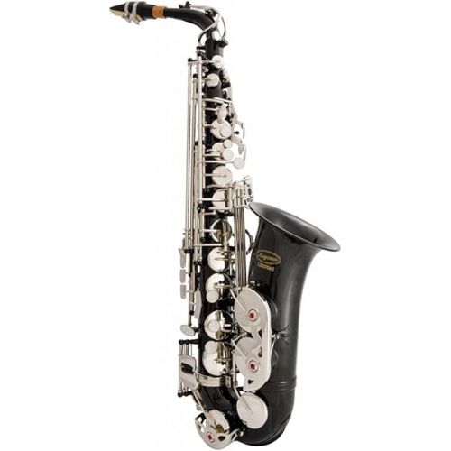  370-BK - Black/Silver Keys Eb E Flat Alto Saxophone Sax Lazarro+11 Reeds,Music Pocketbook,Case,Care Kit - 24 Colors with Silver or Gold Keys