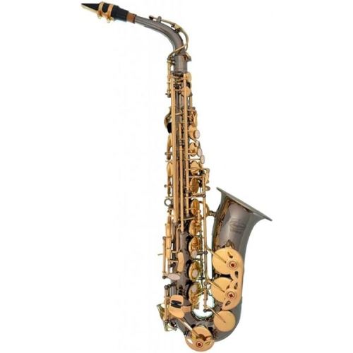  Professional Black Nickel Body Gold Keys E-flat Eb Alto Saxophone Sax with 11 Reeds, Case, Music Book, Mouthpiece and Many Extras, 360-BN