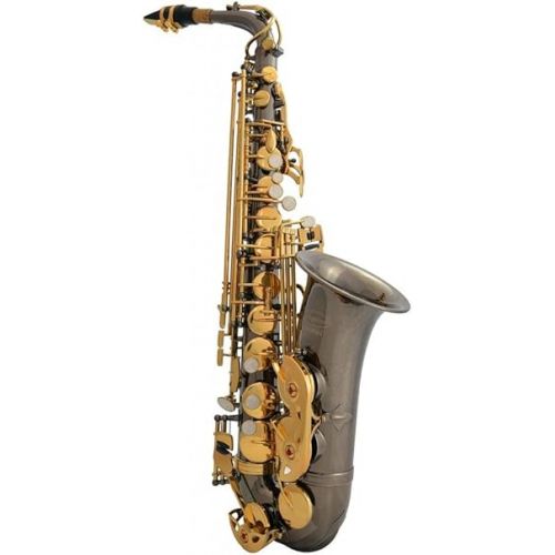  Professional Black Nickel Body Gold Keys E-flat Eb Alto Saxophone Sax with 11 Reeds, Case, Music Book, Mouthpiece and Many Extras, 360-BN