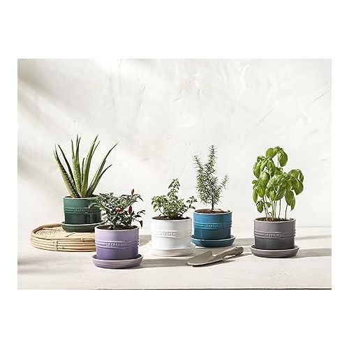 르크루제 Le Creuset Stoneware Herb Planter, 5.5 Inches, Nectar