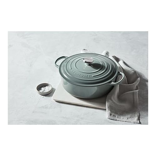 르크루제 Le Creuset Enameled Cast Iron Signature Round Wide Oven, 6.75qt., Peche