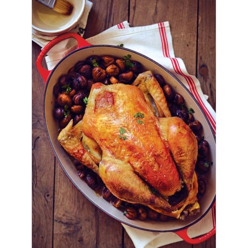 르크루제 [아마존베스트]Le Creuset Signature Enameled Cast-Iron 9.5 Quart Oval French (Dutch) Oven, Marseille