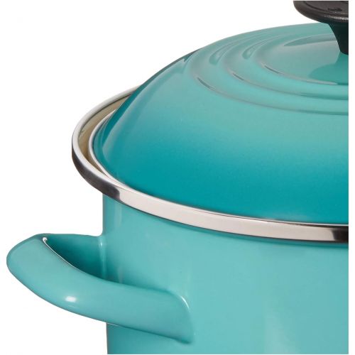 르크루제 Le Creuset N5100-2017 Stockpot, 6-Quart, Caribbean