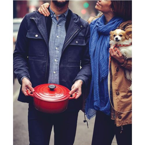 르크루제 Le Creuset LS2501-2667 Signature Enameled Cast-Iron Round French (Dutch) Oven, 5-1/2-Quart, Cerise