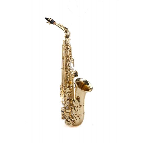  LeVar EASLV100 LV100 Student Alto Saxophone