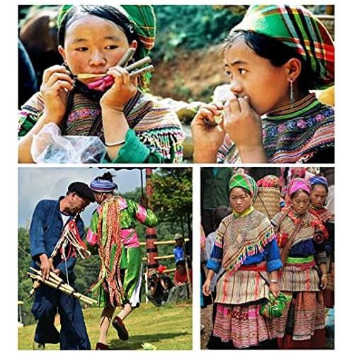  Le_vietnam Jaw harp Jews harp Mouth Harp lips twanger DAN MOI Hmong vietnamese Viet Nam Handmade LARGE RANGE (Type 19)