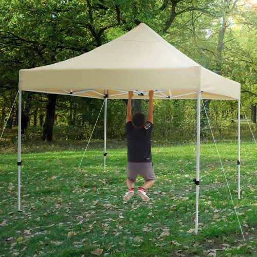  Leader Accessories 10 x 10 Pop Up Canopy Tent Instant Shelter Portable Folding Canopies Straight Leg with Wheeled Carry Bag, Silver