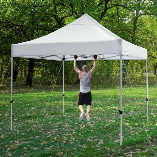  Leader Accessories 10 x 10 Pop Up Canopy Tent Instant Shelter Portable Folding Canopies Straight Leg with Wheeled Carry Bag, Silver