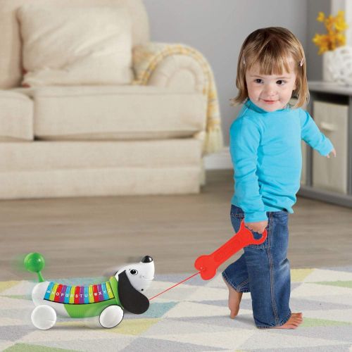  [아마존베스트]LeapFrog AlphaPup, Green