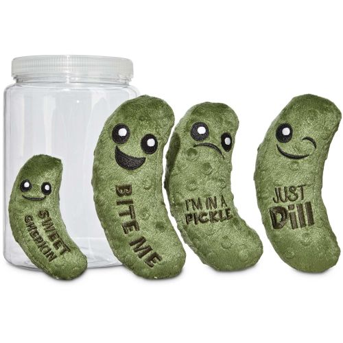  Leaps & Bounds Play Plush Pickle Jar Dog Toy