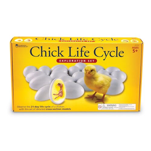  Learning Resources Chick Life Cycle Exploration Set