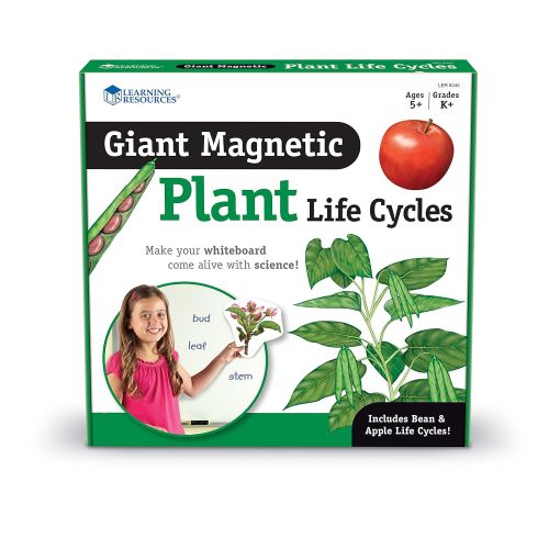  Learning Resources Giant Magnetic Plant Life Cycle