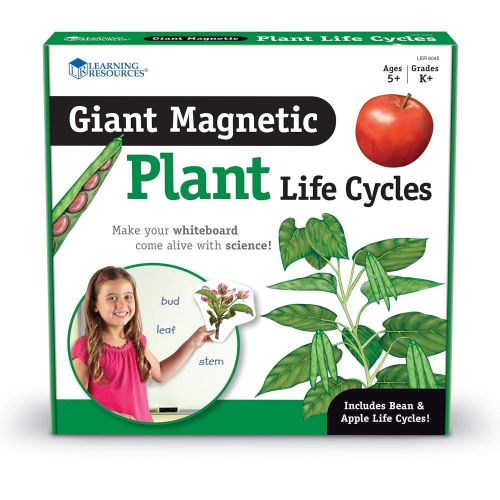  Learning Resources Giant Magnetic Plant Life Cycle