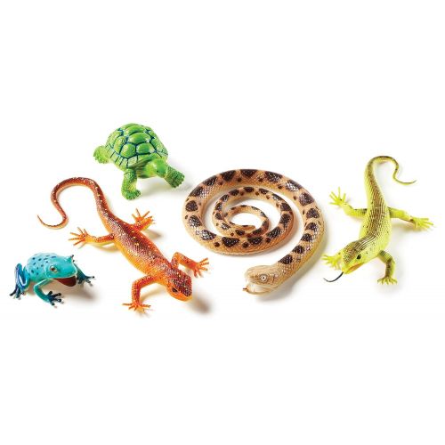  Learning Resources Jumbo Reptiles & Amphibians I Tortoise, Gecko, Snake, Iguana, and Tree Frog, 5 Animals