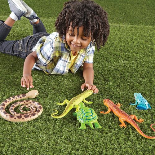  Learning Resources Jumbo Reptiles & Amphibians I Tortoise, Gecko, Snake, Iguana, and Tree Frog, 5 Animals