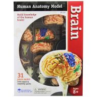 Learning Resources Brain Model