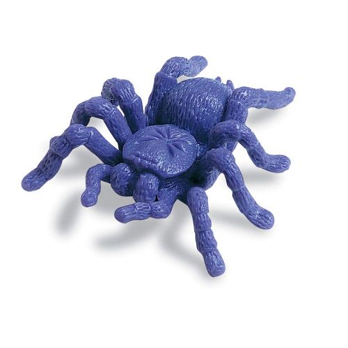  Learning Resources These Creepy crawly counters Turn Learning Early Math Concepts into Fun Adventures