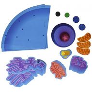 Learning Resources LER6039 Giant Magnetic Animal Cell