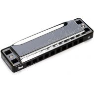 Lee Oskar Harmonic Minor Harmonica - Key of D minor