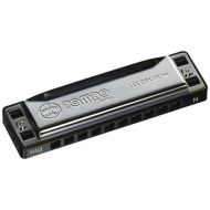 Lee Oskar Harmonicas Lee Oskar Harmonica, Natural Minor Key of D