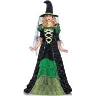 Leg Avenue Womens 2 Piece Storybook Witch Costume