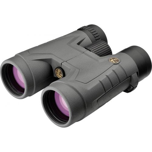  Leupold 172700 BINO 10X42 ACADIA GREY